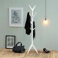 Ascot White Coat Hanger