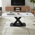 Vernal Coffee Table - White Sintered Stone