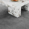 Viola White Marble Coffee Table