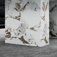 Viola White Marble Coffee Table