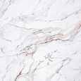 Lorea Coffee Table - White Marble - Black Base