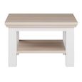 Pontypool Coffee Table - Small - White and Riva Oak