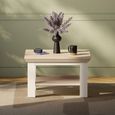Pontypool Coffee Table - Small - White and Riva Oak