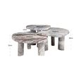 Camino Coffee Table - Set of 3 - Abstract - Blush Beige - Marble