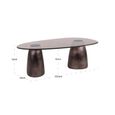 Hayden Coffee Table - Oval - Bronze - Glass and Aluminium