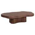Sherman Coffee Table - Low - Abstract - Spicebrown - Mango Wood