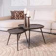 Bean Coffee Table - Set of 2 - Abstract - Brunzae - Metal