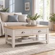 Richmond Coffee Table - 2 Drawer - Grey