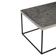 Akola Coffee Table - Glass and Silver