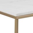 Alisma White Marble Top Coffee Table