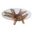 Amazonas Coffee Table - Round - Glass and Teak Root