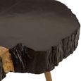 Asamra Coffee Table - Black Acacia Wood Log with Gold Legs
