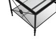 Axis Coffee Table - Clear Glass with Black Metal