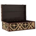 Aztec Coffee Table - Brown - Storage Trunk