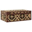 Aztec Coffee Table - Brown - Storage Trunk