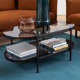Bayonne Coffee Table - Oval - Smoked Glass