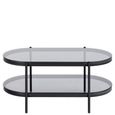 Bayonne Coffee Table - Oval - Smoked Glass