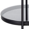 Bayonne Coffee Table - Oval - Smoked Glass