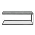 Renzo Zinc & Dark Grey Coffee Table