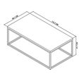 Renzo Zinc & Dark Grey Coffee Table
