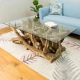 Branchwood Coffee Table - Glass Top