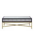 Cadio Coffee Table - 2 Drawer - Grey Faux Shagreen with Gold Legs