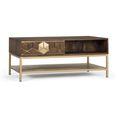Caltan Coffee Table - 1 Drawer - Walnut Mango Wood and Gold - Geometric