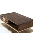 Caltan Coffee Table - 1 Drawer - Walnut Mango Wood and Gold - Geometric