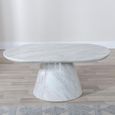 Carrera White Marble Oval Coffee Table