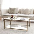 Clearance - Amberley Gold and Glass Coffee Table