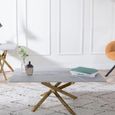 Clearance - Chopstick Grey Glass Coffee Table with Gold Metal Legs