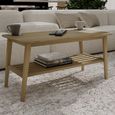 Scandic Coffee Table - Small - with Shelf - Danish Oak