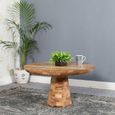 Dispur Solid Mango Wood Round Coffee Table