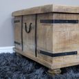 Coffee Table - Large Trunk - Mango Wood