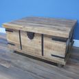 Coffee Table - Trunk - Mango Wood