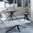 Ezra Grey Coffee Table with Black Spider Legs