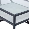 Ibarra Coffee Table - Glass and Metal