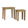 Itura Coffee Table - Mango Wood - Painted - Round - Set of 2