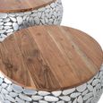 Jambiani Coffee Table - Mango Wood and Metal - Round - Set of 2