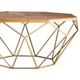 Jodi Coffee Table - Octagonal - Elm Wood and Gold Metal