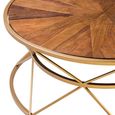 Jodi Coffee Table - Round - Elm Wood and Gold Metal