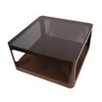 Thorpe Coffee Table - Bronze Glass and Metal - Square