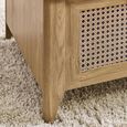 Sydney Coffee Table - 2 Drawer - Faux Rattan