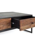 Venedocia Coffee Table - 2 Drawer - Mango Wood