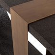 Bazel Console Table - Black and Gold - Metal