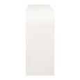 Bloomstone White Lime Plaster Console Table