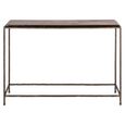 Villano Console Table - Bronze - Glass and Metal