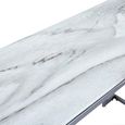 Aamari Console Table - White Marble and Chrome