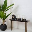 Asamra Console Table - Black Acacia Wood with Gold Legs
