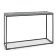 Renzo Zinc & Dark Grey Console Table